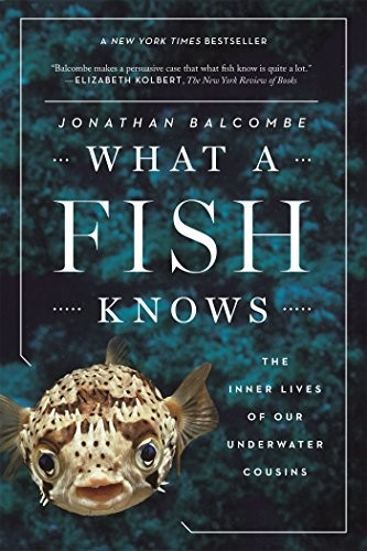 What a Fish Knows