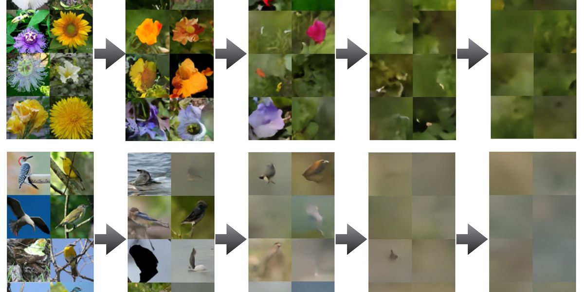 The Internet Isn’t Completely Weird Yet; AI Can Fix That