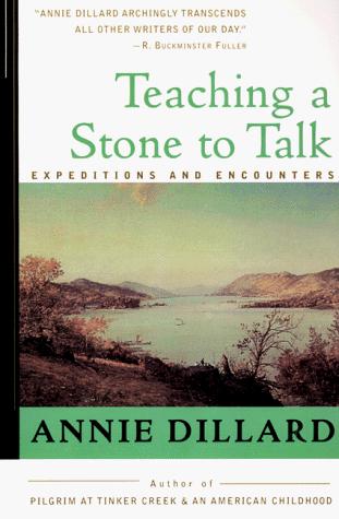Teaching a Stone to Talk