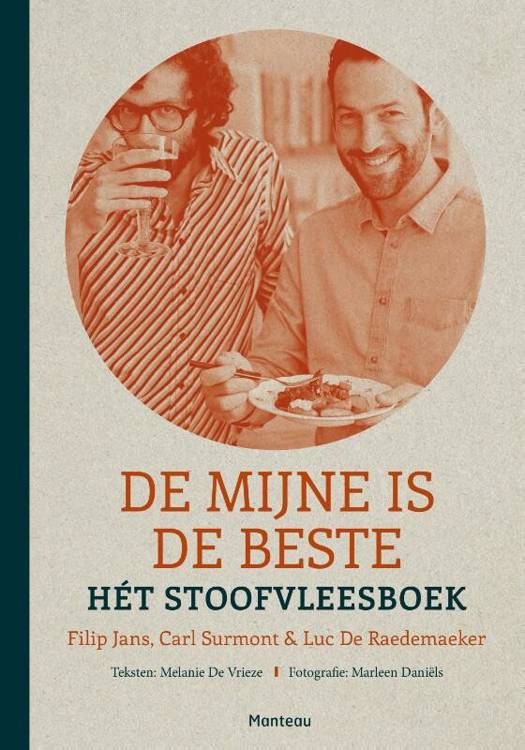 De mijn van Steins